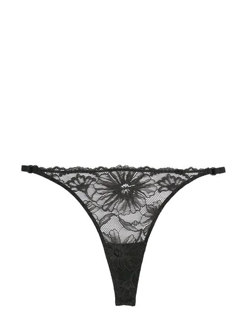 Tommy Hilfiger | Tanga Thong (Ext.sizes) | M