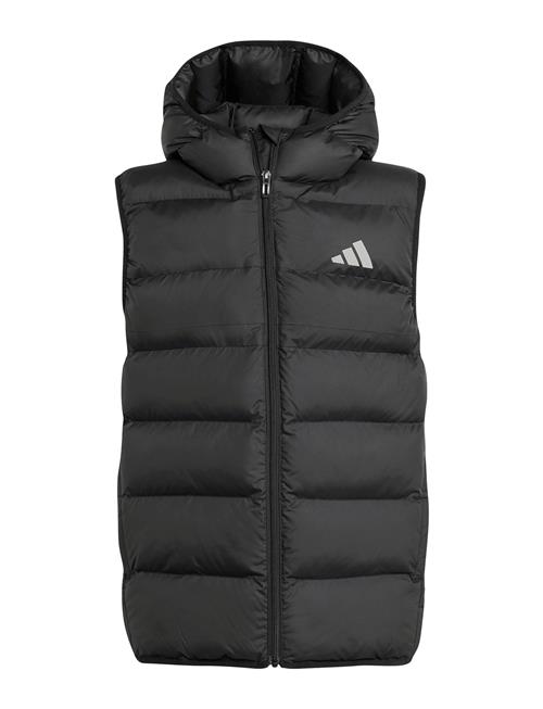 adidas Sportswear | J Sd Vest | 176