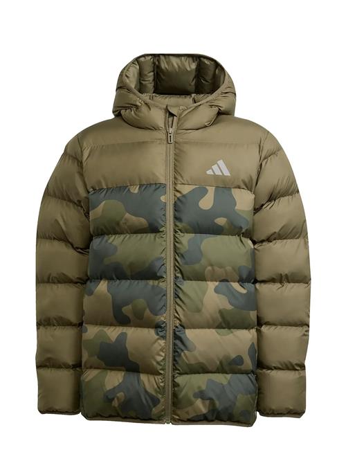 adidas Sportswear | J Sd Aop Jkt | 164
