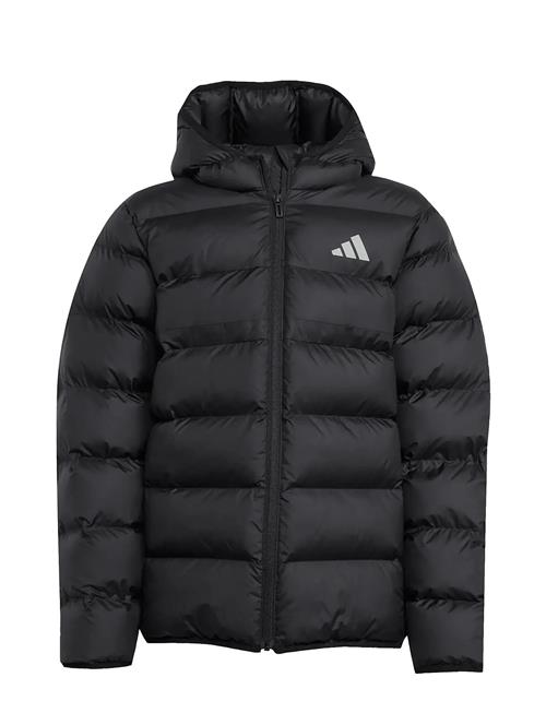 adidas Sportswear | J Sd Jkt | 140