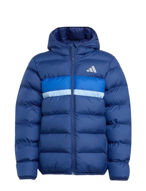 adidas Sportswear | J Sd Jkt | 164
