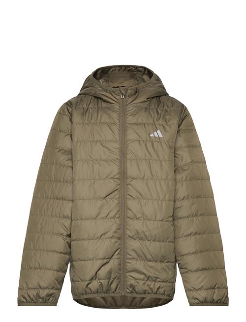 adidas Sportswear | J Ess L Pad Jkt | 152