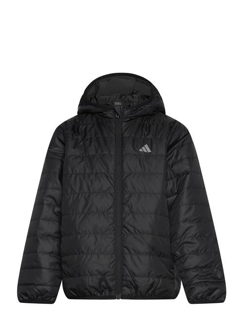 adidas Sportswear | J Ess L Pad Jkt | 164