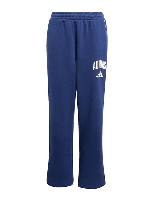 adidas Sportswear | J Clgt Fl Pnt | 152