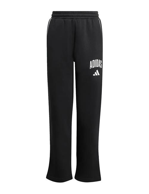 adidas Sportswear | J Clgt Fl Pnt | 140