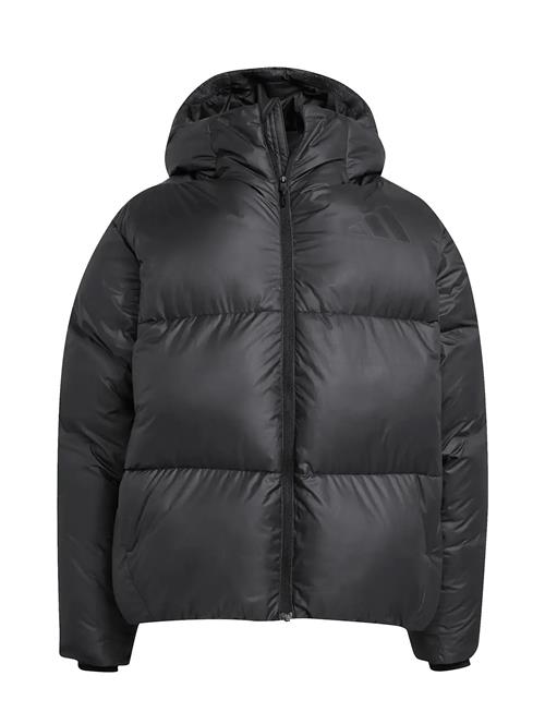 adidas Sportswear | J Z.n.e. Jkt | 152