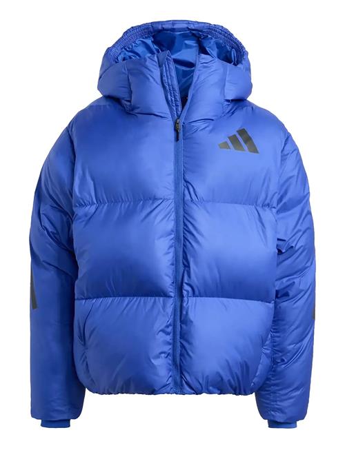 adidas Sportswear | J Z.n.e. Jkt | 152