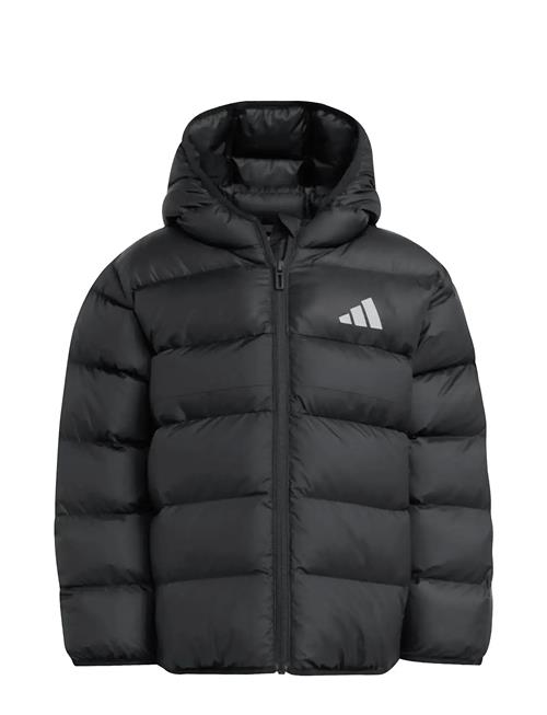 adidas Sportswear | Lk Sd Jkt | 122