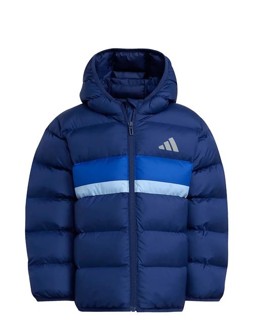 adidas Sportswear | Lk Sd Jkt | 116