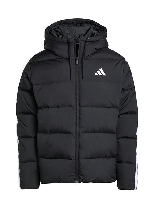 adidas Sportswear | Ess 3S P D Hd J | S