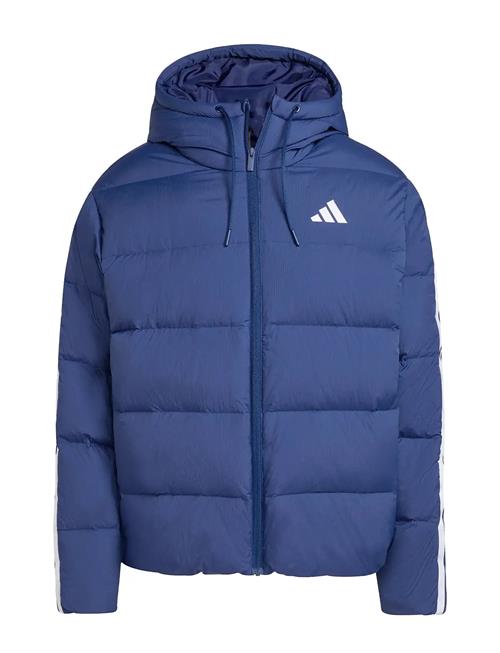 adidas Sportswear | Ess 3S P D Hd J | M