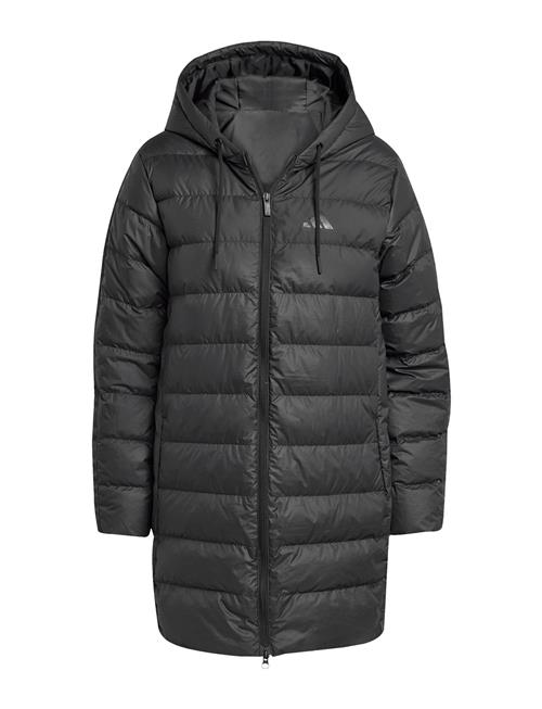 adidas Sportswear | W Ess 3S L D Hp | L