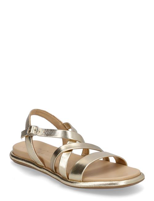 Wonders | Izora | 36