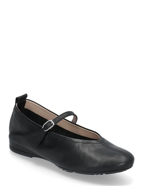 Wonders | Gracia | 37