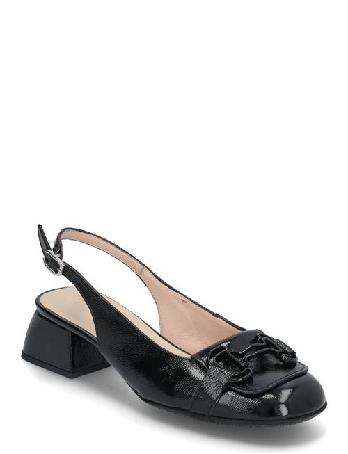 Wonders | Charo | 41