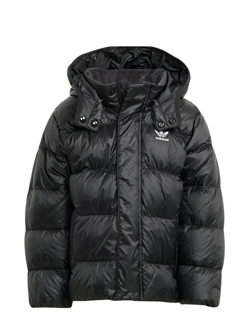 adidas Originals | Down Jacket | 110