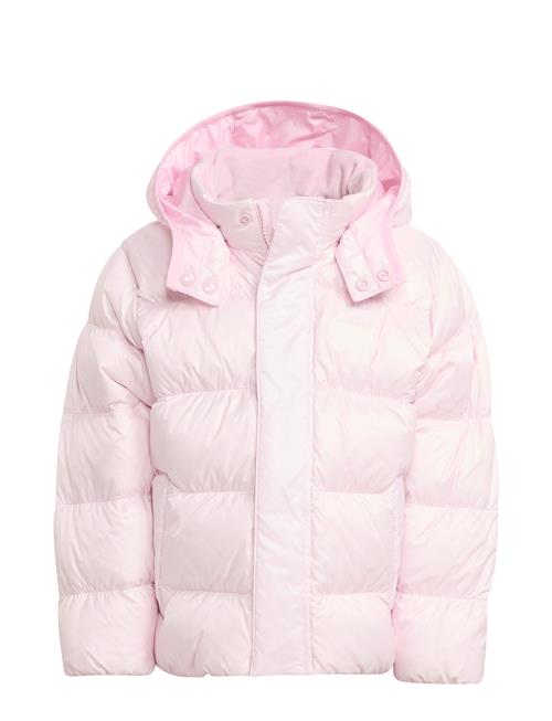 adidas Originals | Down Jacket | 116