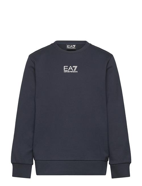 EA7 | Sweatshirt | 116