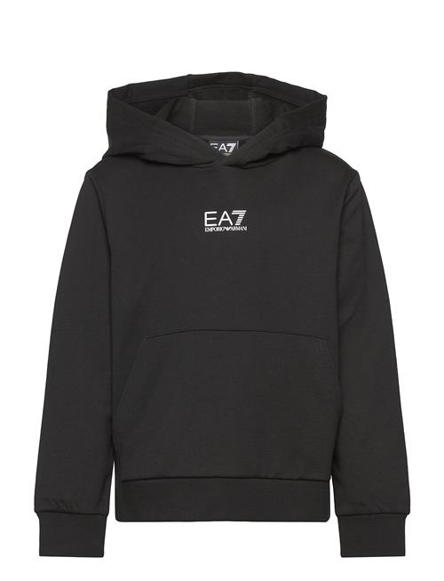 EA7 | Sweatshirt | 104