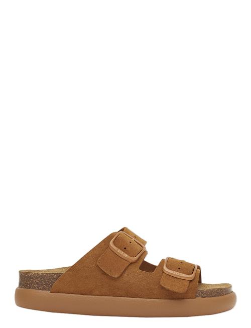 Scholl | Sl Noelle Chunky  Suede Cognac | 36