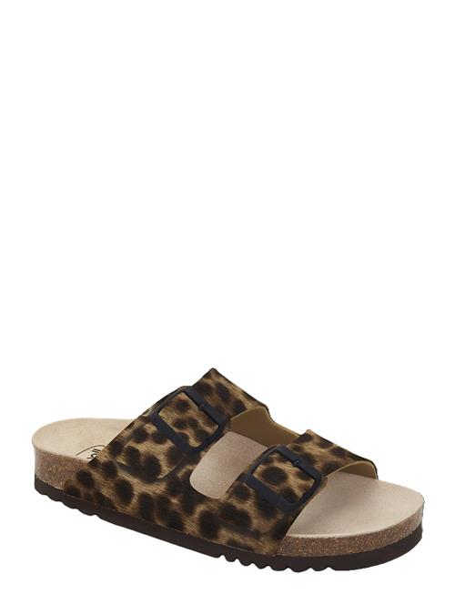 Scholl | Sl Josephine Leather Yena | 41