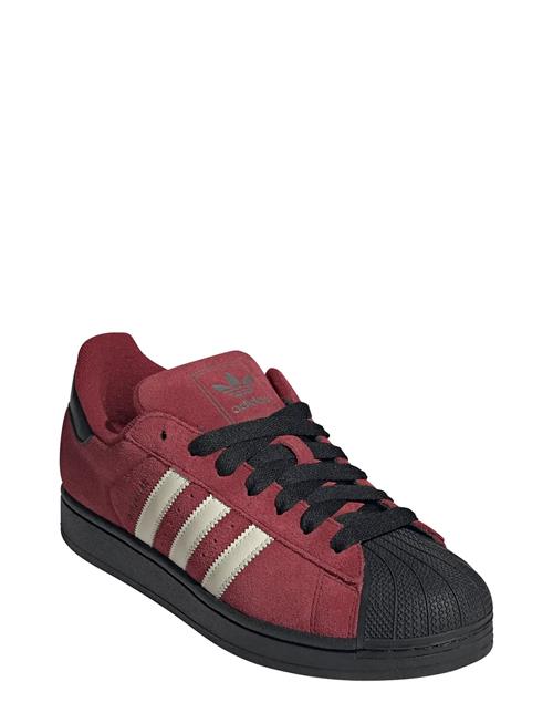 adidas Originals | Superstar Ii | 37 1/3
