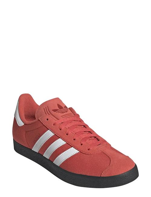adidas Originals | Gazelle | 43 1/3