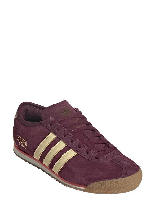 adidas Originals | Italia 70S W | 36 2/3