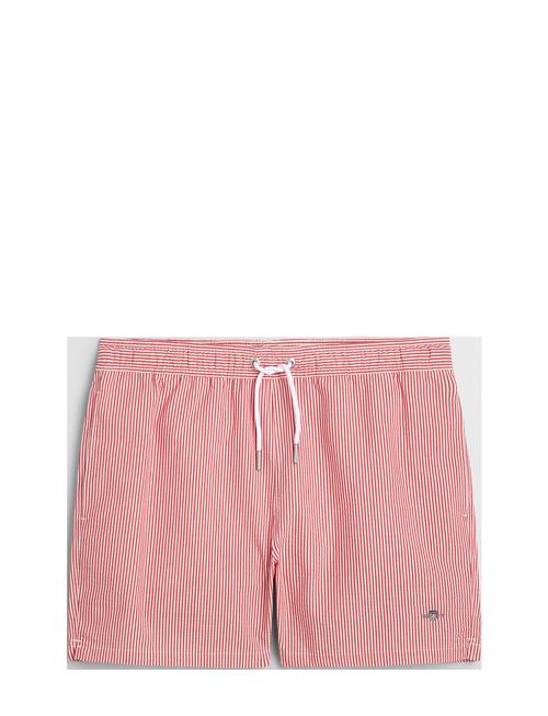 GANT | Seersucker Swim Shorts | S
