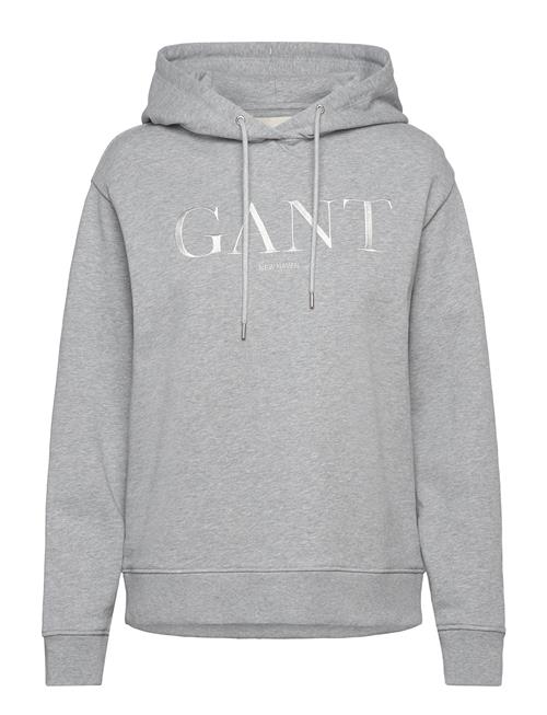 GANT | Tonal Graphic Hoodie | S