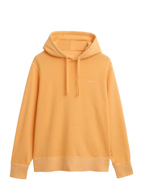 GANT | Sunfaded Hoodie | XL