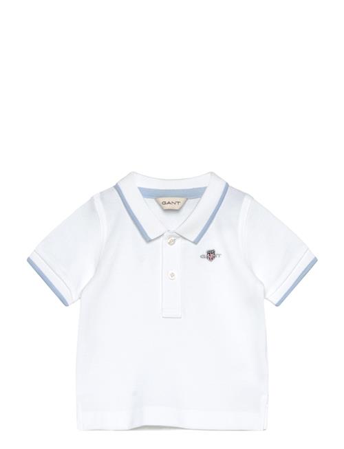 Gant | Contrast Tp Ss Pique Rugger | 80
