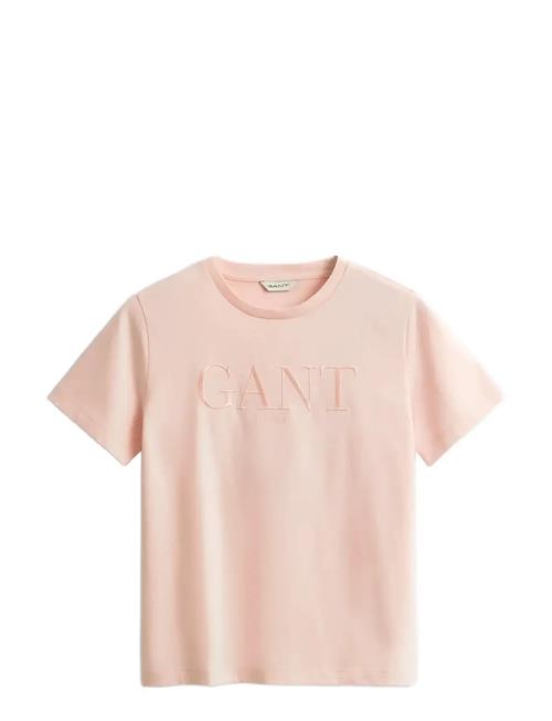 GANT | Reg Tonal Graphic Ss T-Shirt | M