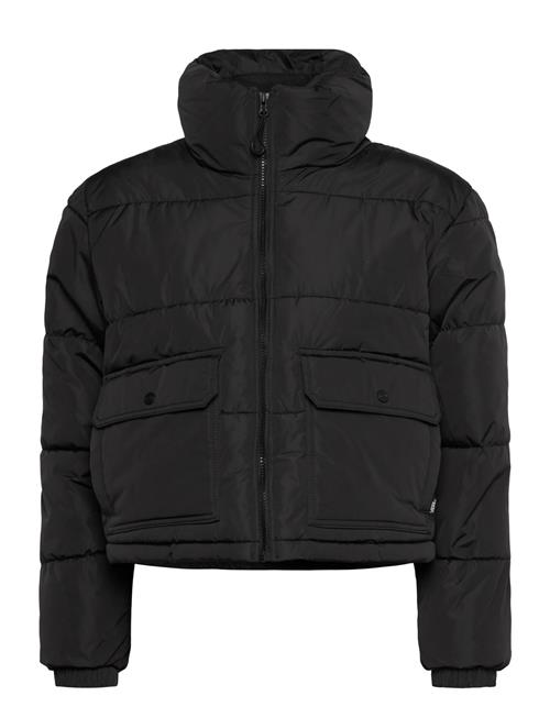 VANS | Mte Aubrey Primaloft Puffer | XL