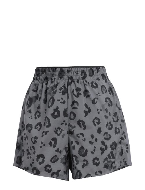 adidas Performance | We Wvn Shrt Aop | XL