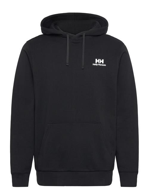 Helly Hansen | Core Graphic Hoodie | S