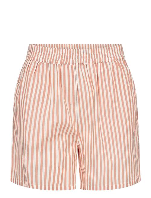 Soyaconcept | Sc-Rosette | S