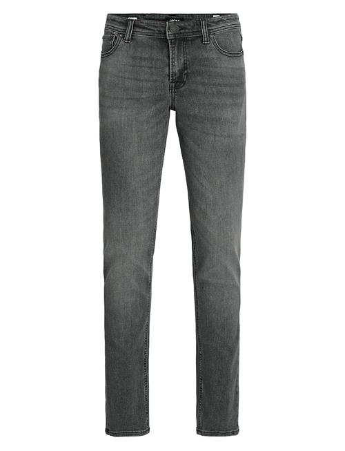 Jack & Jones | Jjiglenn Jjoriginal Sq 903 Noos Jnr | 134