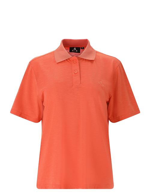 Whistler | Vale W S-S Polo | 36