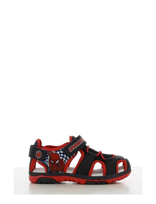Leomil | Spiderman Sandal | 26
