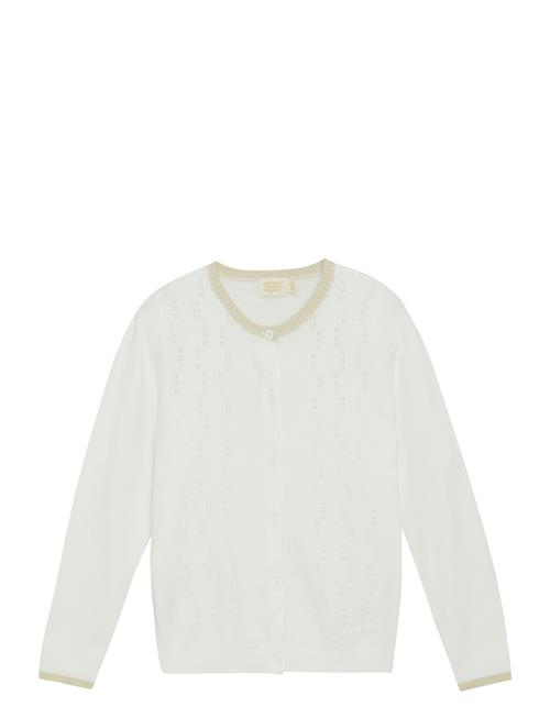 Creamie | Cardigan Pointelle | 110