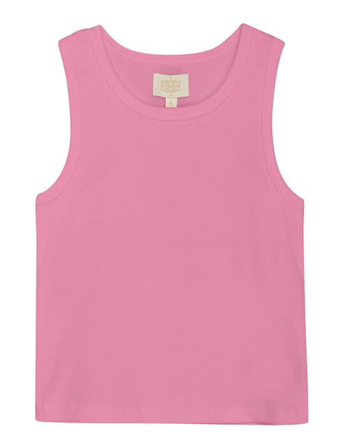 Creamie | Top Rib | 128