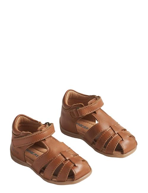 Wheat | Sandal Robbie | 23