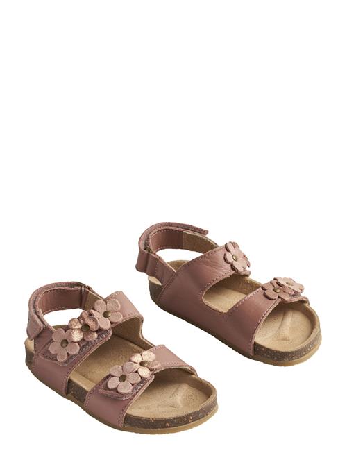Wheat | Sandal Clare Flower | 25