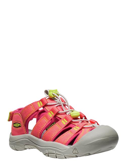 KEEN | Ke Newport Boundless | 35