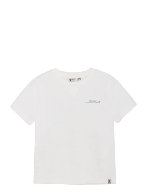 Daily 7 | T-Shirt Backprint | 104