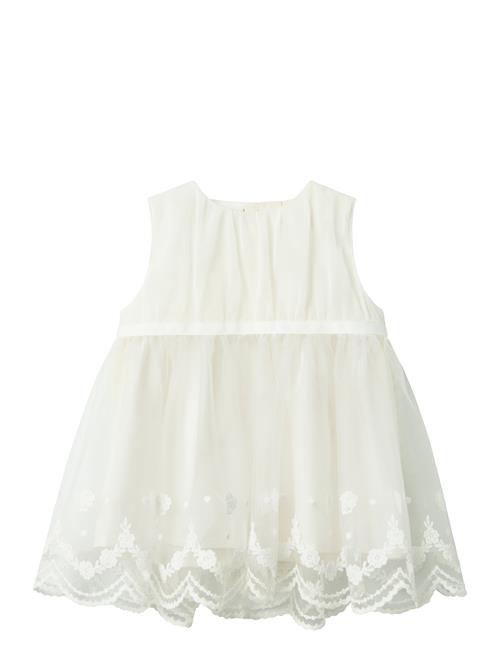 name it | Nbfdemille Spencer | 68