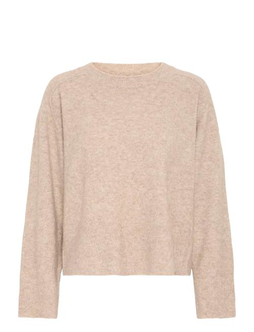 Fransa | Frnoah Pu 1 | S