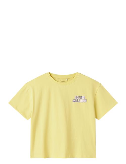 name it | Nkfmuba Squishmallows Nreg Ss Top Vde | 110