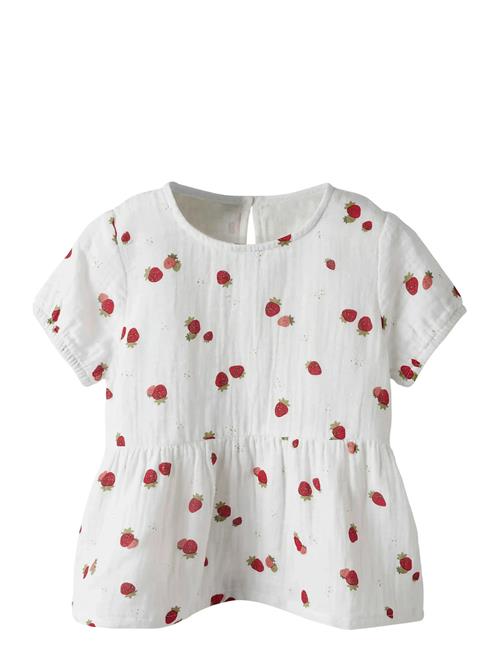 name it | Nmffornelia Ss Top | 110